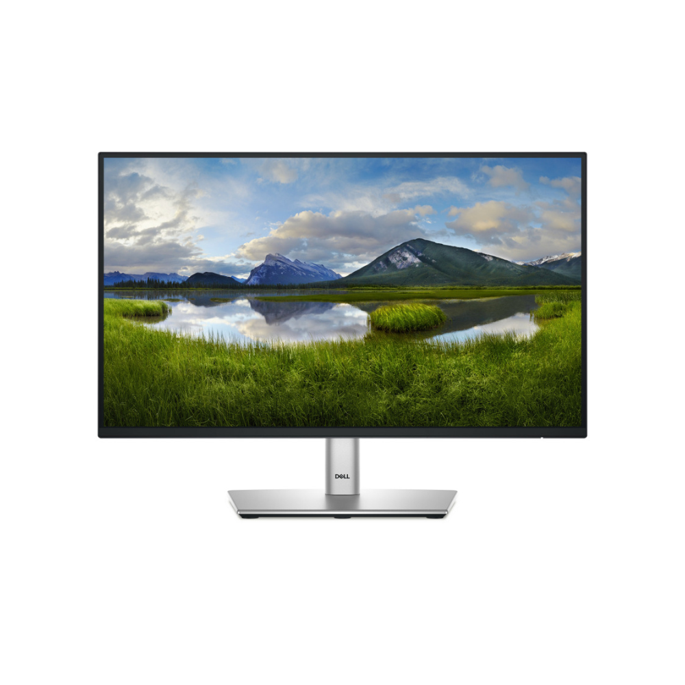 Monitor Dell P2225H 22" Full HD (1920x1080) | HDMI, VGA, DP 1.4, 100Hz (210-BLXJ)